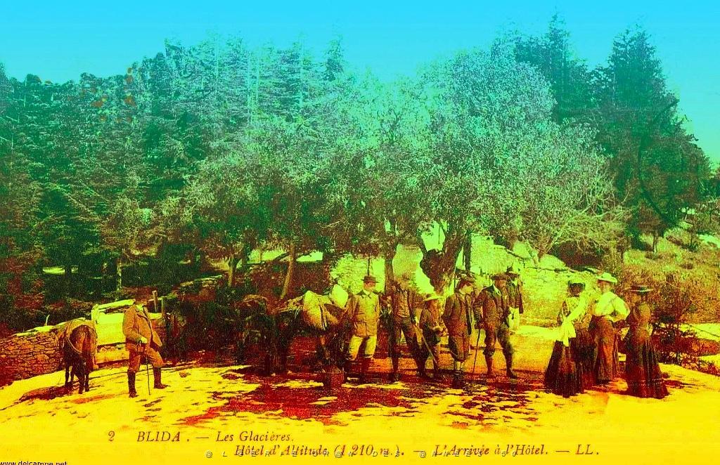 Blida - Les glacieres.jpg